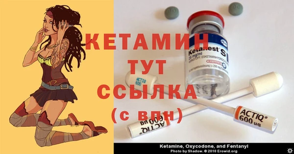 ПСИЛОЦИБИНОВЫЕ ГРИБЫ Инсар