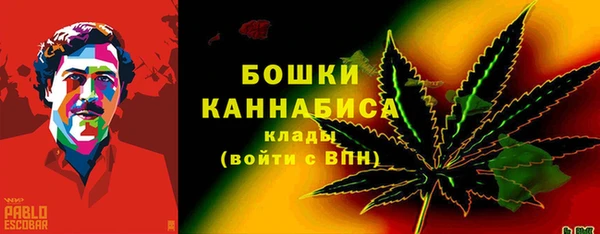 ПСИЛОЦИБИНОВЫЕ ГРИБЫ Инсар