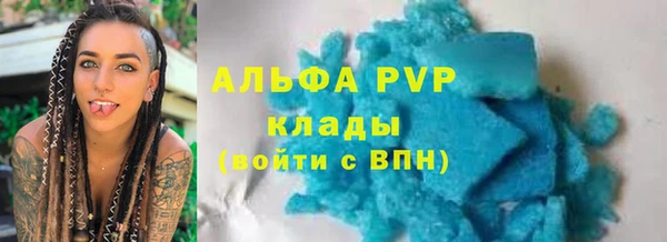ПСИЛОЦИБИНОВЫЕ ГРИБЫ Инсар