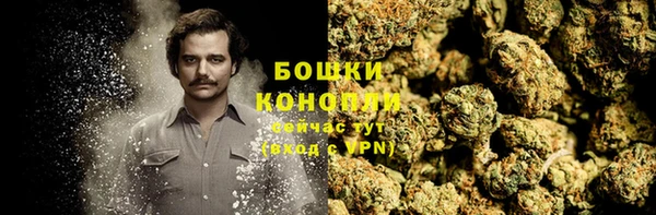 ПСИЛОЦИБИНОВЫЕ ГРИБЫ Инсар