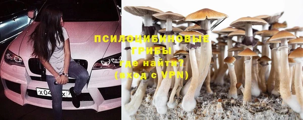 ПСИЛОЦИБИНОВЫЕ ГРИБЫ Инсар