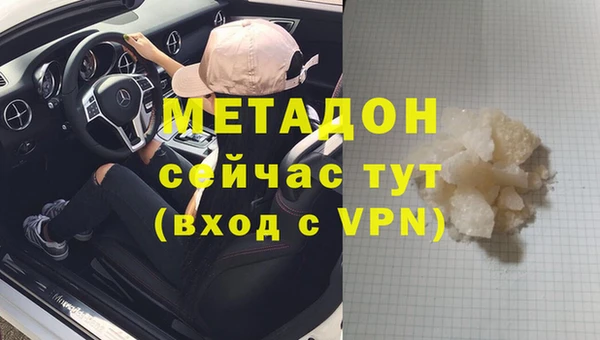 ПСИЛОЦИБИНОВЫЕ ГРИБЫ Инсар